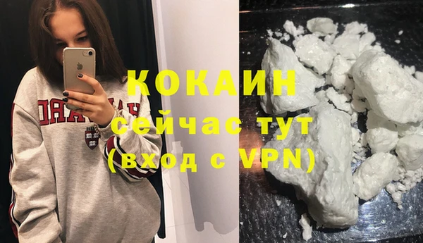 мескалин Богородицк